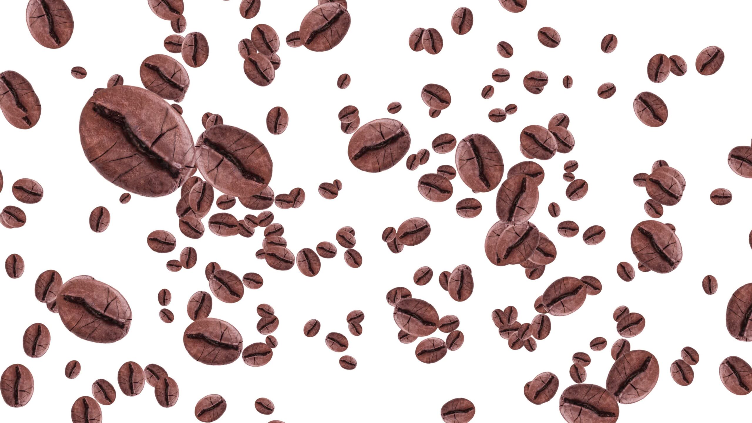 Roasted coffee beans float on white background