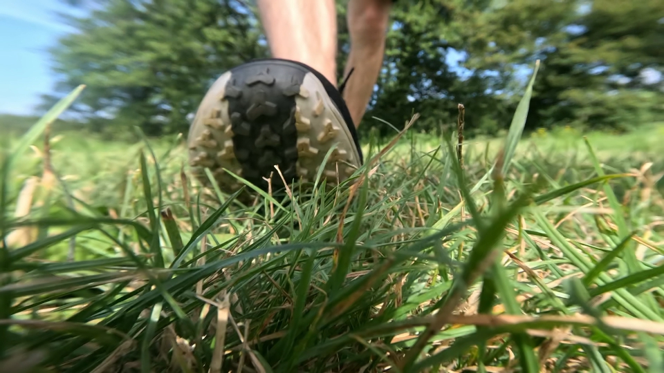 Leg of man walking on grass