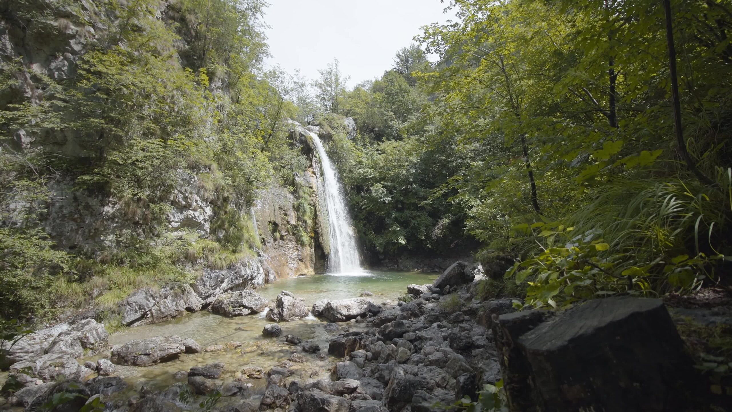 Beautiful waterfall in the green woodland