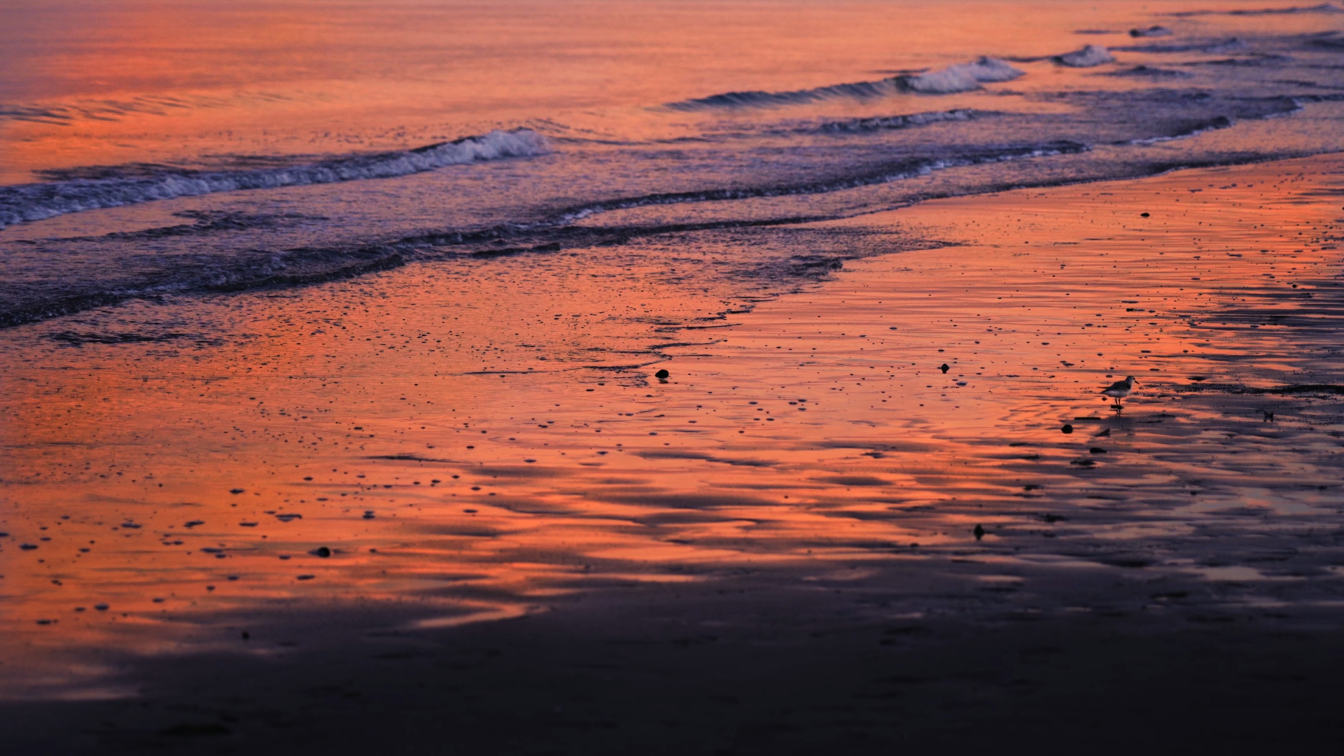 Sea waves at the beach at red sunset