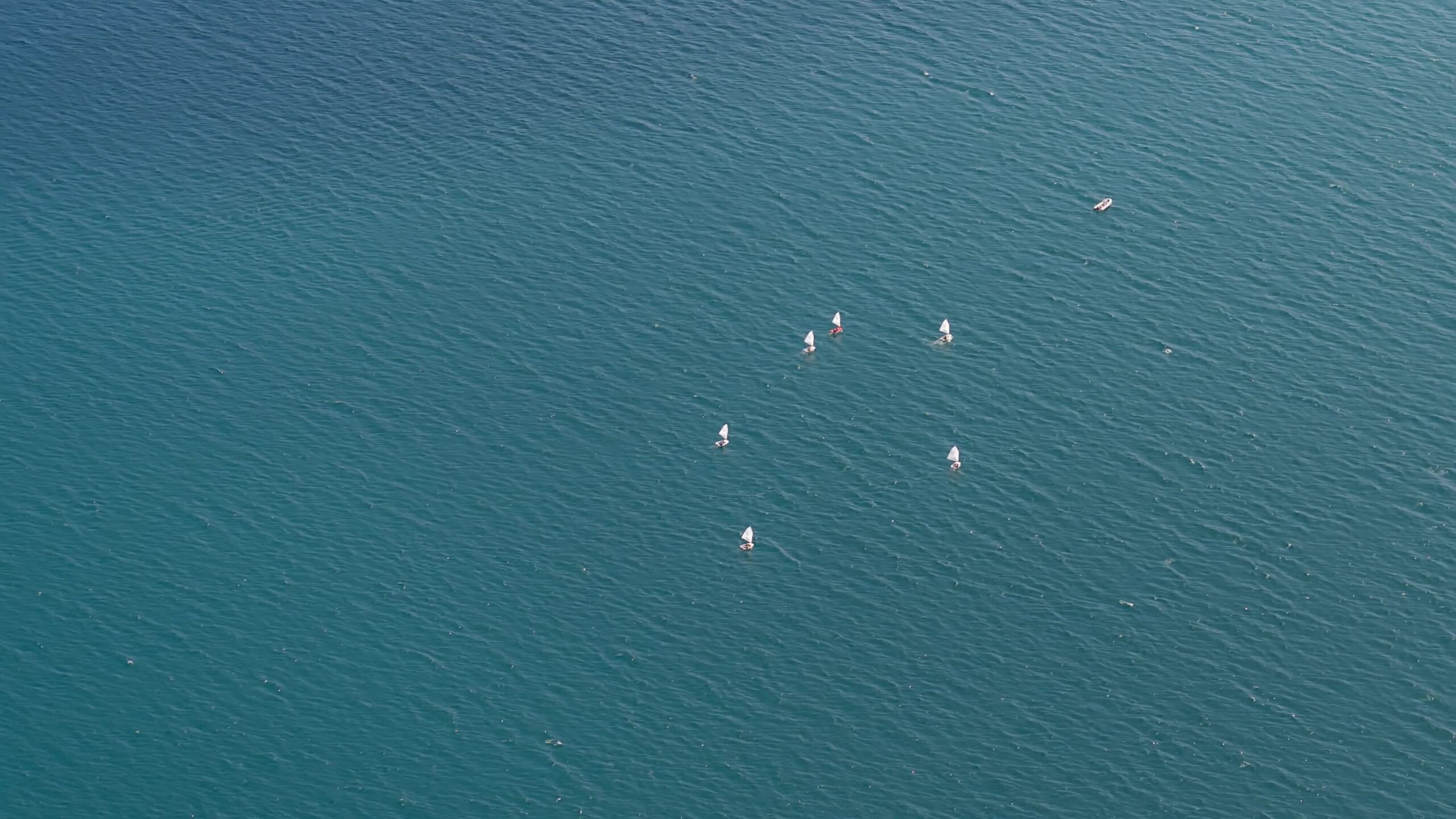 Timelapse – Sailboats on the sea