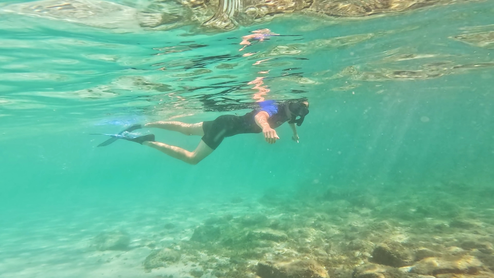 Man swims in wetsuit and fins underwater