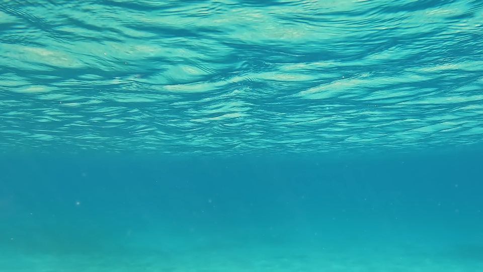 Underwater on Maddalena Island