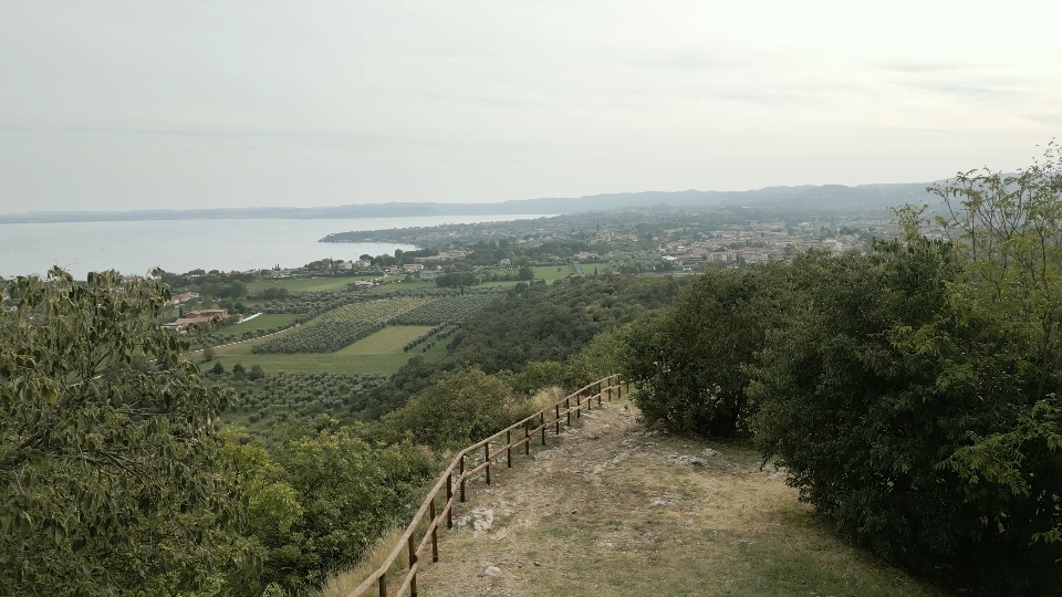 Shore of Lake Garda in summer