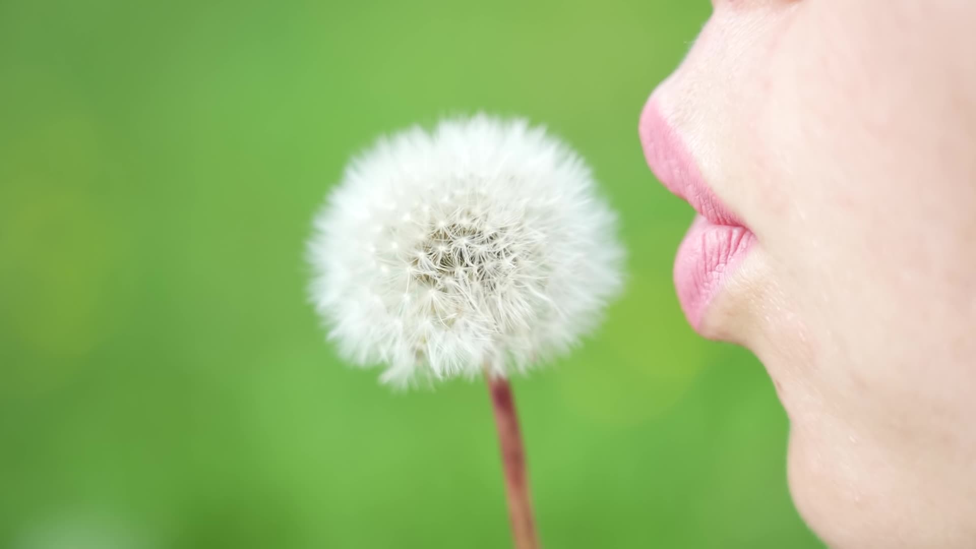 Woman blows dandelion