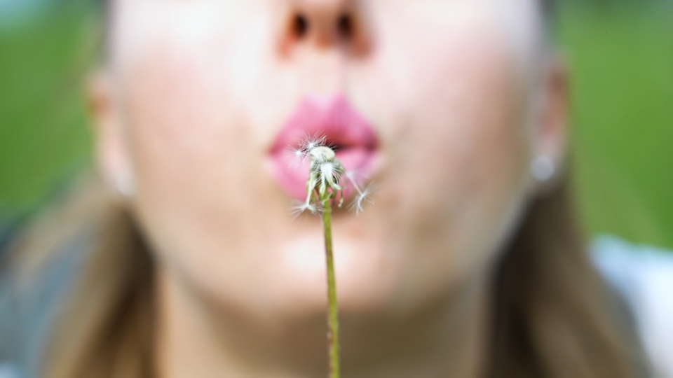 Dandelion is blown from woman’s lips in slow motion