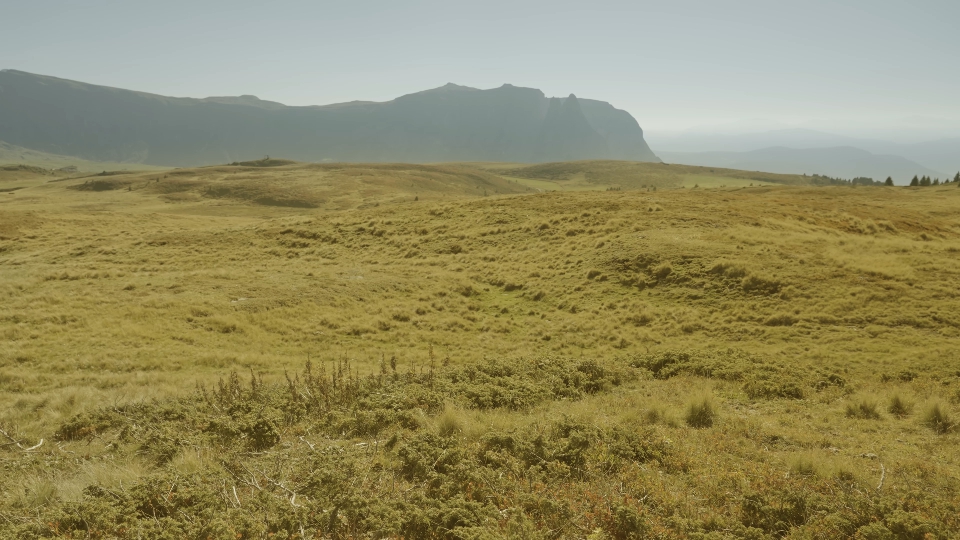 Plain with green hills in front of mountains