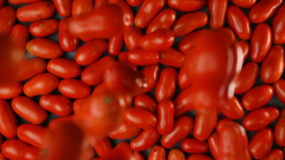 Pile of tomatoes