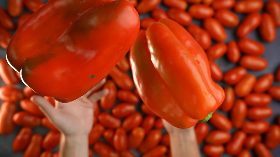 Peppers are thrown with hands