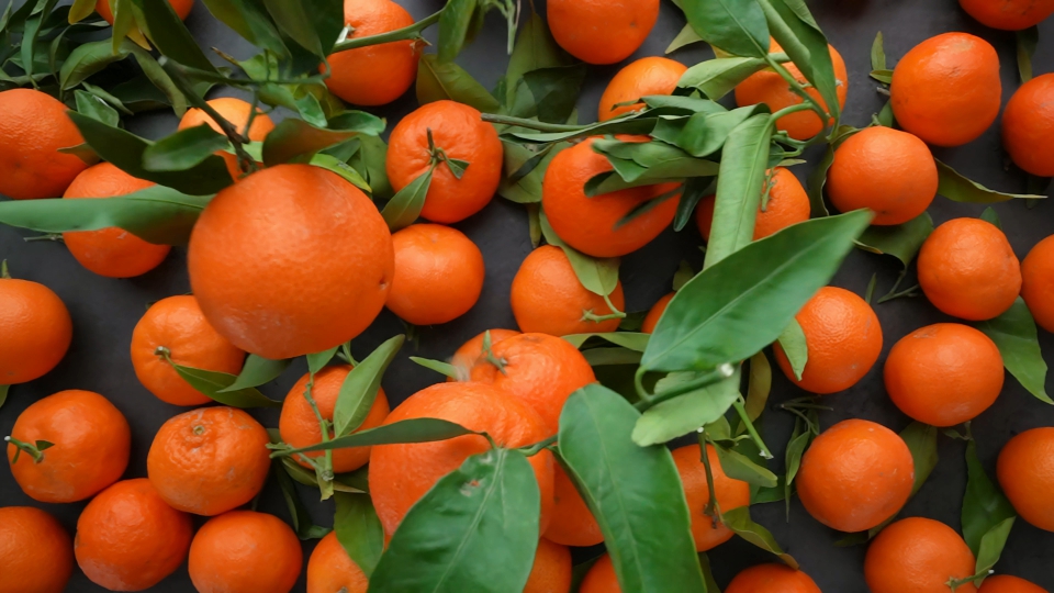 Slow-Motion Falling Mandarins