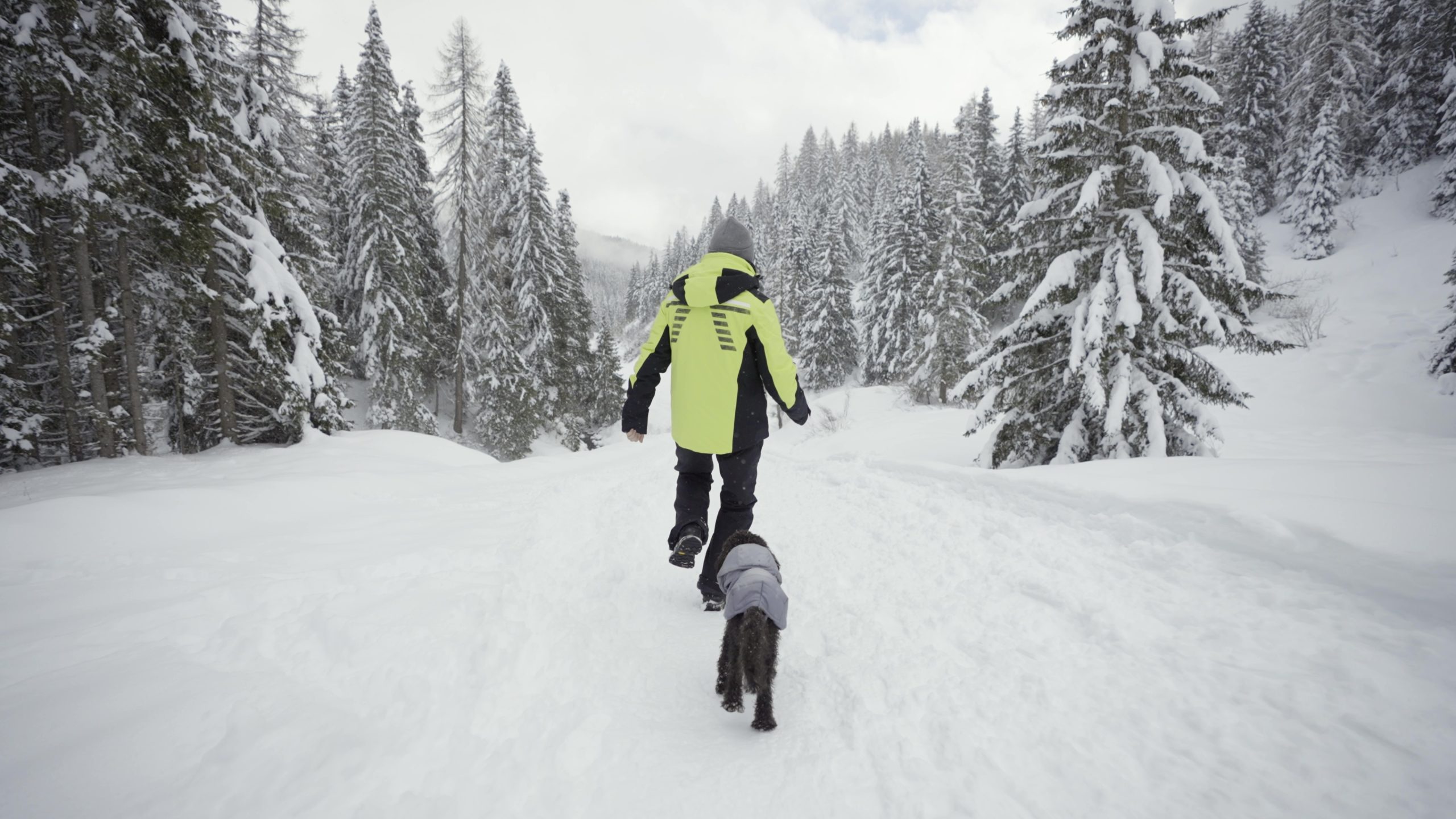 Man with dog walks funny on snow-covered path