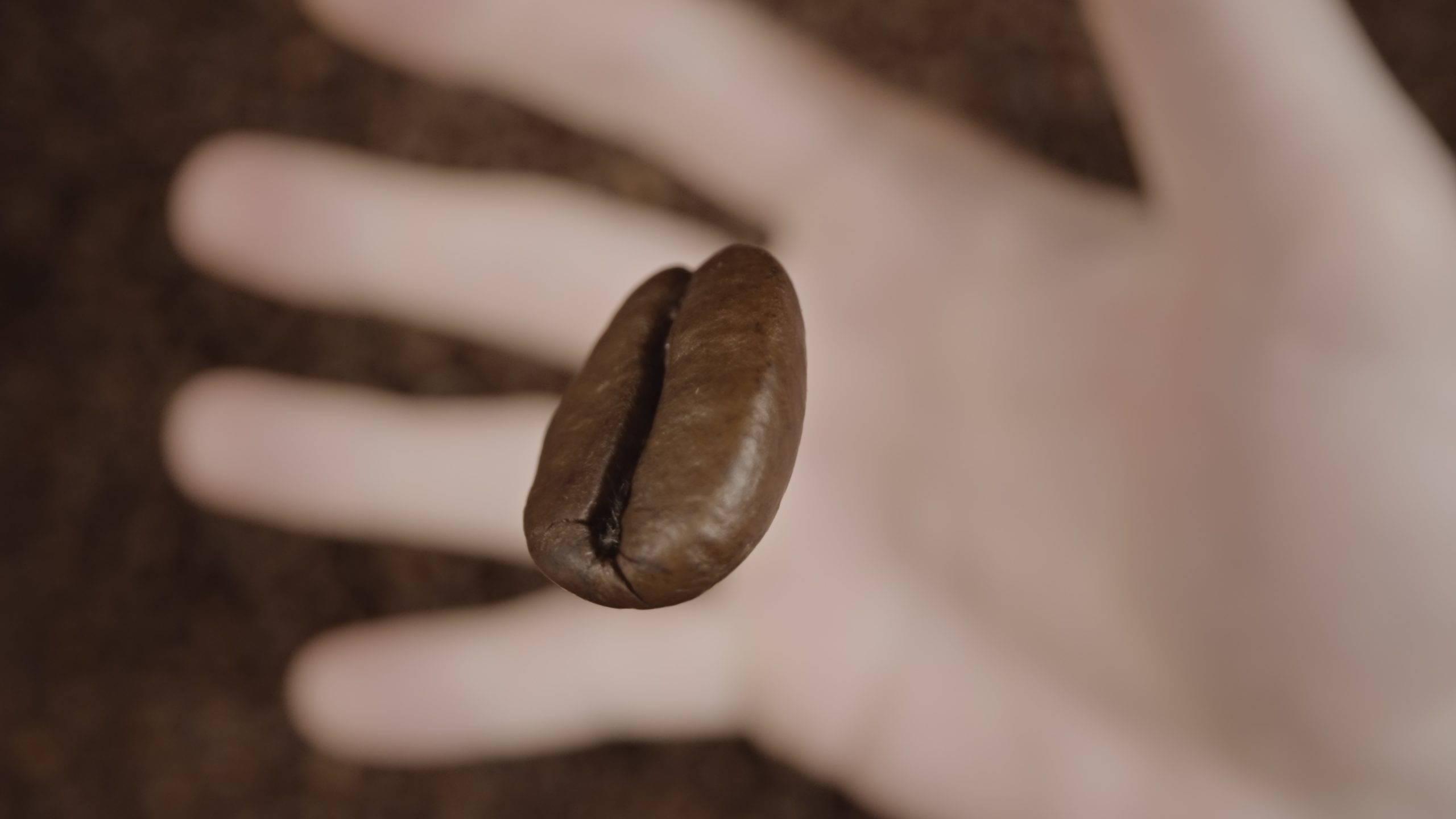Coffee bean thrown high in slow motion